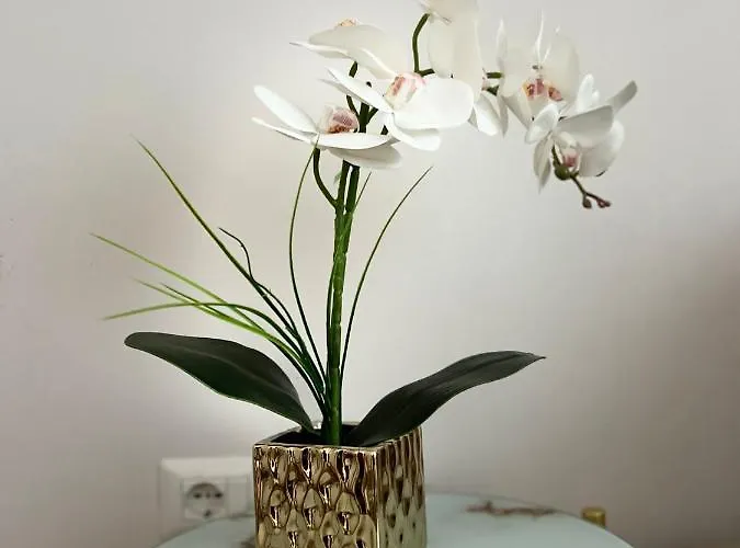 Experience New Bazaar 02 Appartement Tirana