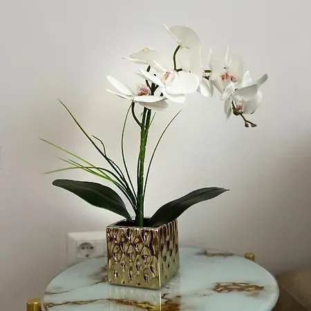 Experience New Bazaar 02 公寓 地拉那